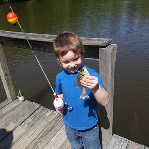 Meet your Posher, Billy